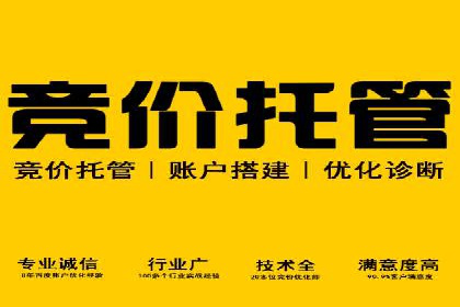 百度竞价开户的五大成功案例：如何进行精准投放？